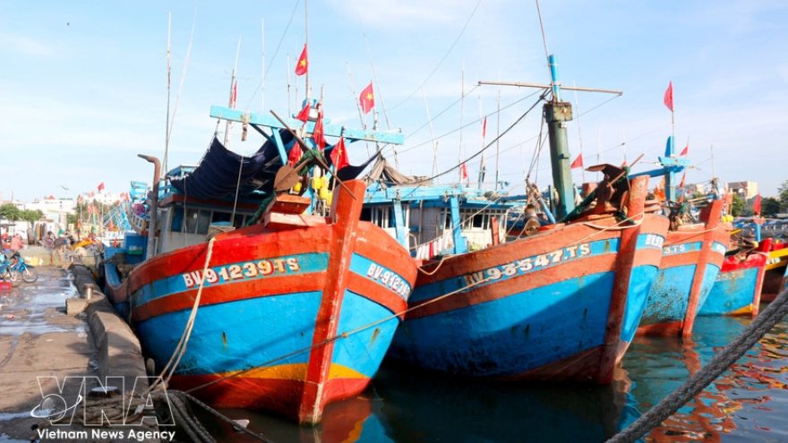 Digital tools power Vietnam’s shift toward smarter fisheries